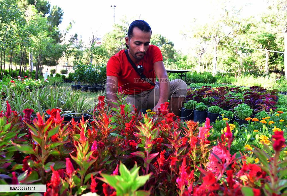 SYRIA-DAMASCUS-FLOWERS-FAIR