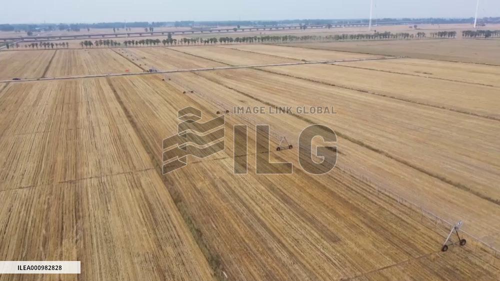 Modern irrigation techniques help grain production in central China