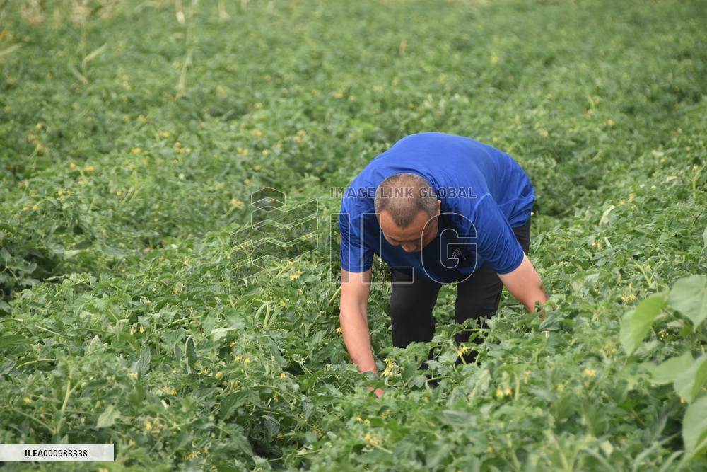 Xinhua Headlines: Xinjiang farmers indignant about being labeled by U.S. lies