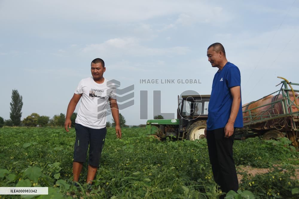 Xinhua Headlines: Xinjiang farmers indignant about being labeled by U.S. lies
