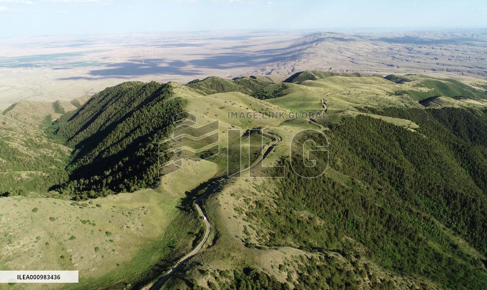 CHINA-NINGXIA-MOUNT LUOSHAN-LANDSCAPE (CN)