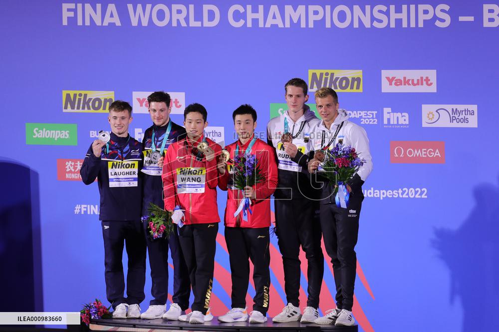 (SP)HUNGARY-BUDAPEST-FINA WORLD CHAMPIONSHIPS-DIVING-MEN'S 3M SYNCHRONISED