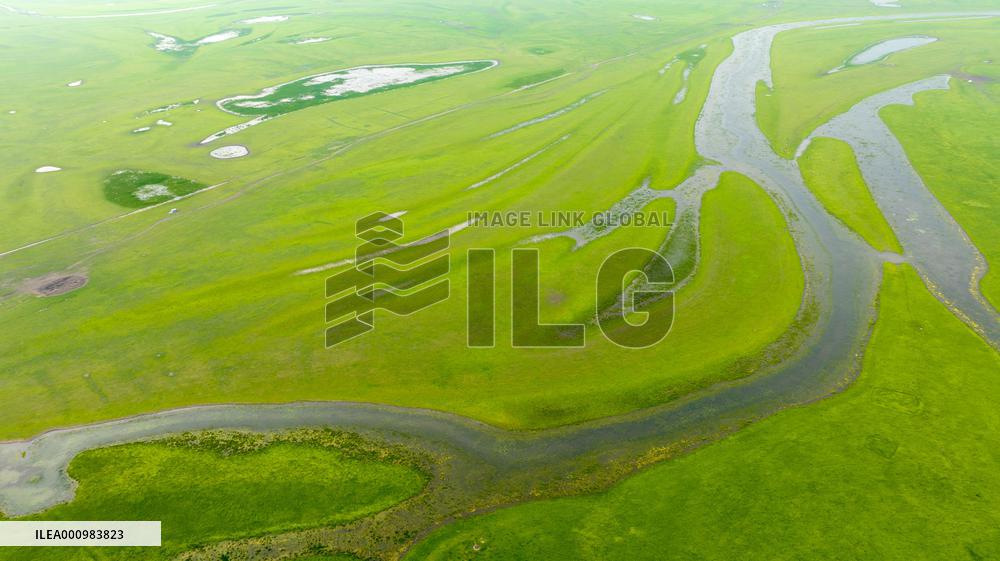 CHINA-JILIN-ZHENLAI COUNTY-WETLAND-RESTORATION (CN)