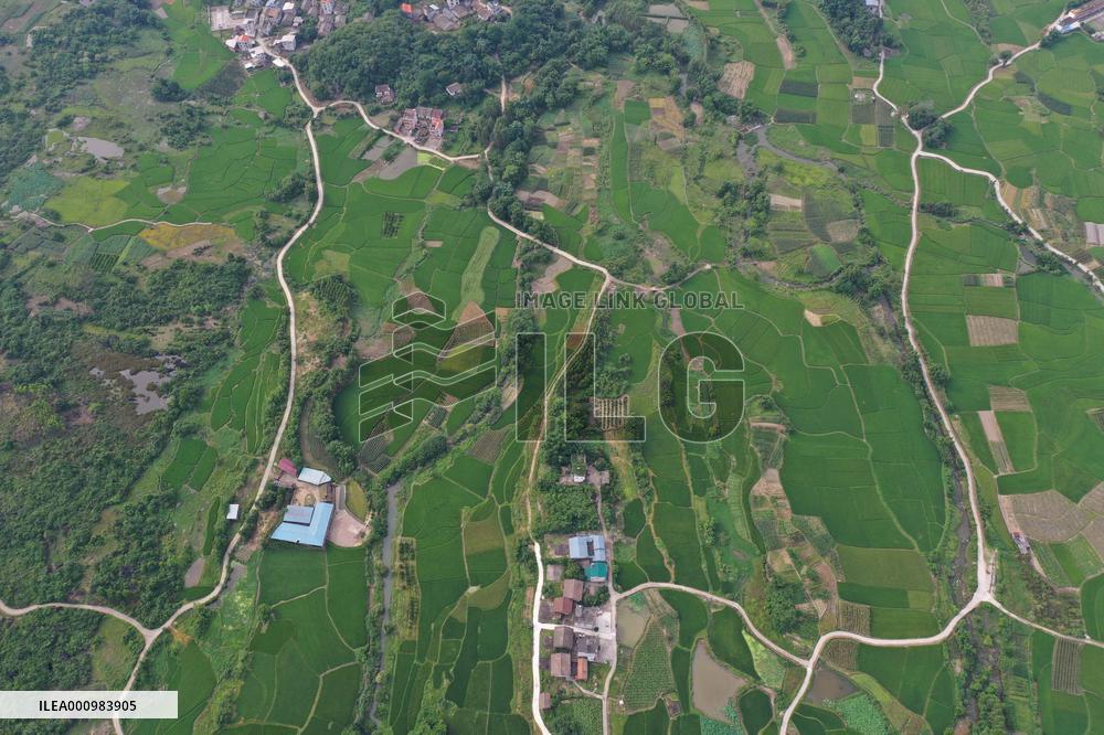 CHINA-GUANGXI-RONGAN-RURAL SCENERY (CN)