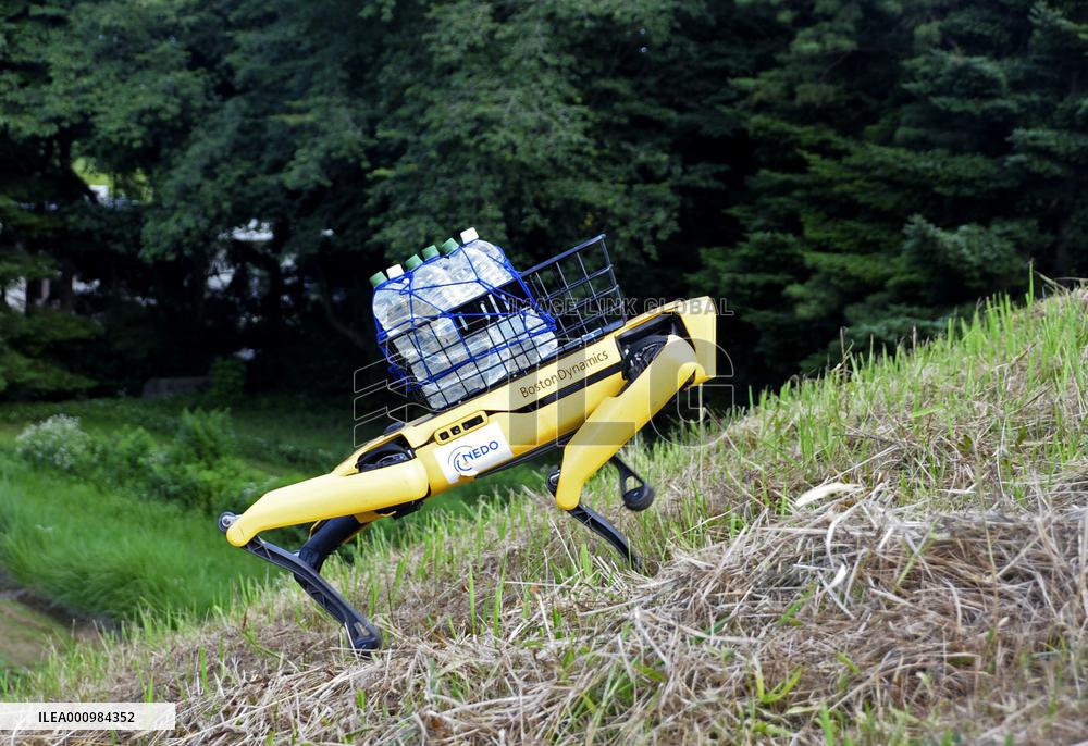 Demonstration of quadruped walking robot