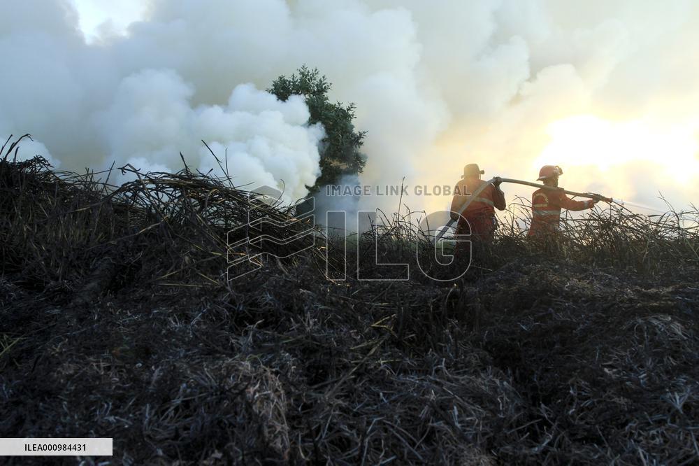 INDONESIA-SOUTH SUMATRA-PEATLAND-FIRE