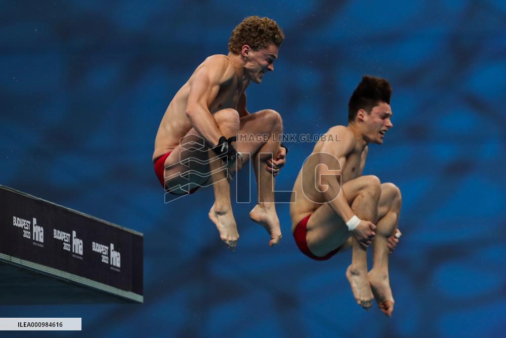 (SP)HUNGARY-BUDAPEST-FINA WORLD CHAMPIONSHIPS-DIVING-MEN'S 10M SYNCHRONISED