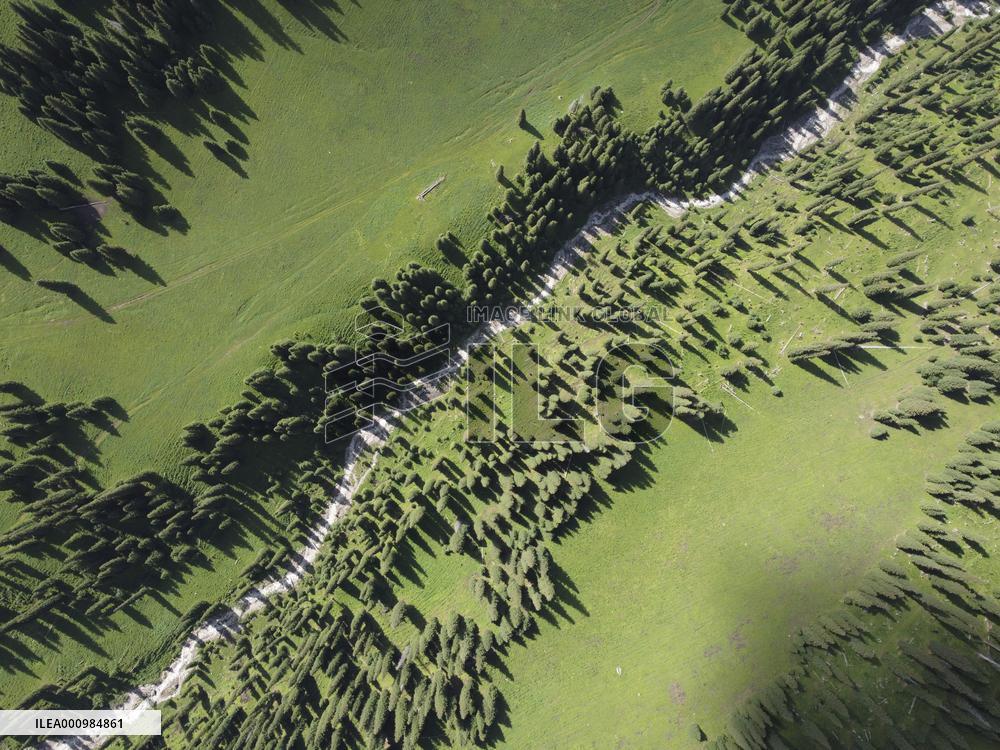 CHINA-XINJIANG-NARAT SCENIC SPOT (CN)