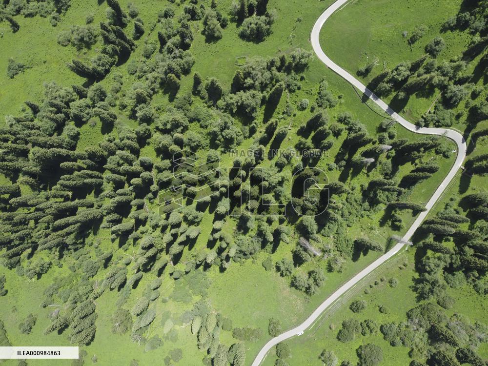 CHINA-XINJIANG-NARAT SCENIC SPOT (CN)