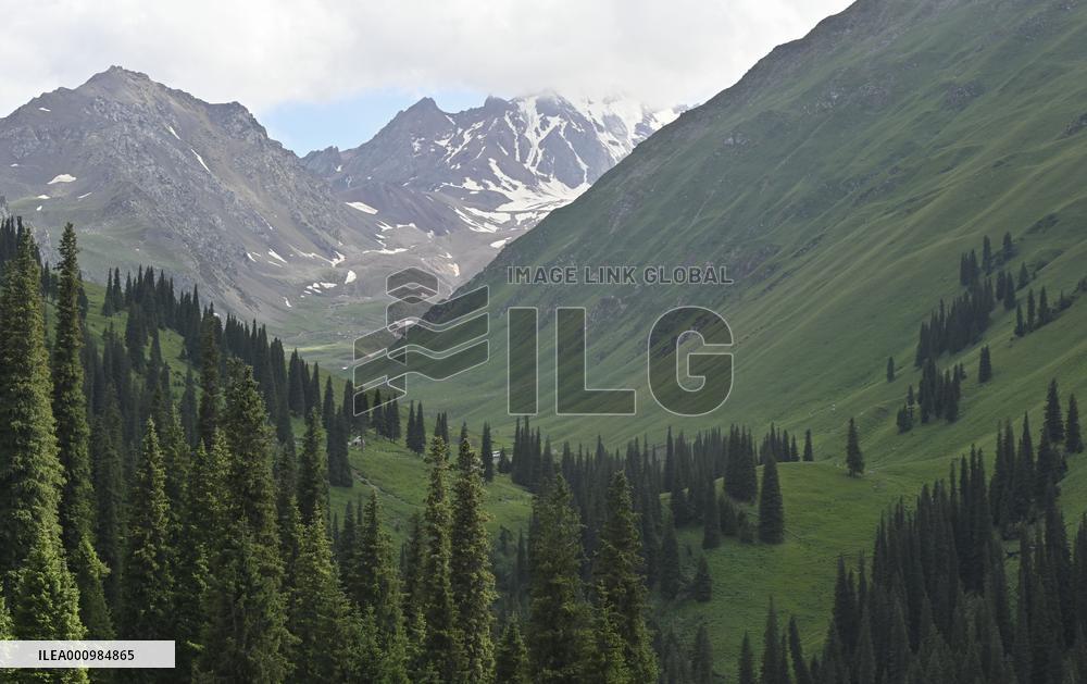 CHINA-XINJIANG-NARAT SCENIC SPOT (CN)