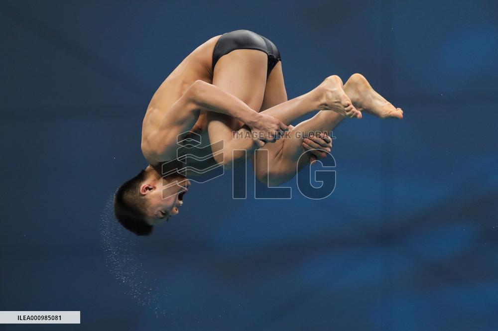 (SP)HUNGARY-BUDAPEST-FINA WORLD CHAMPIONSHIPS-DIVING-MIXED 3M&10M TEAM