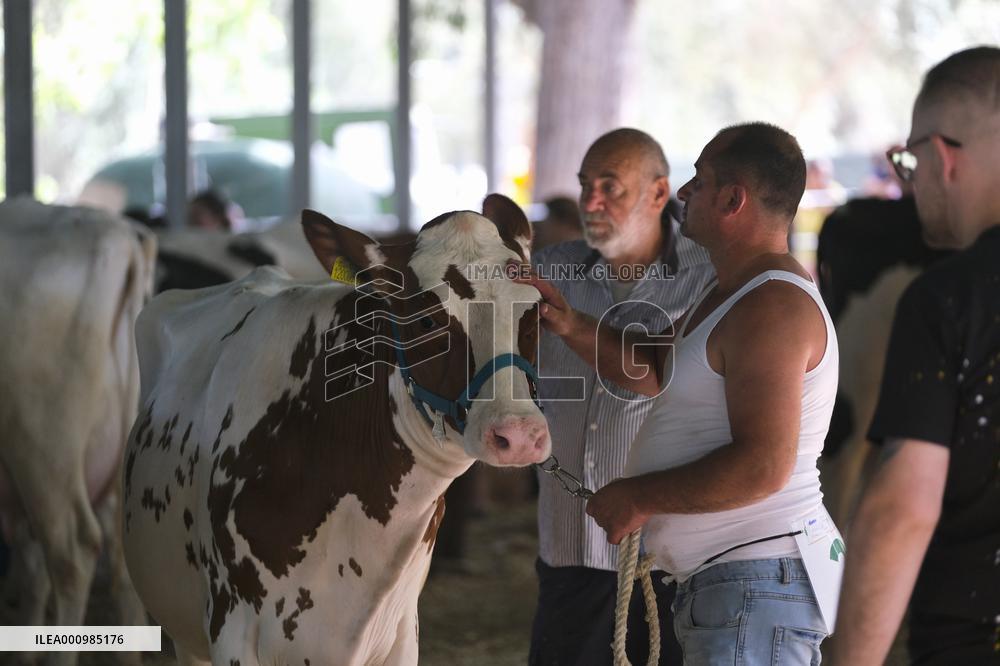 MALTA-SIGGIEWI-TRADITIONAL FESTIVAL