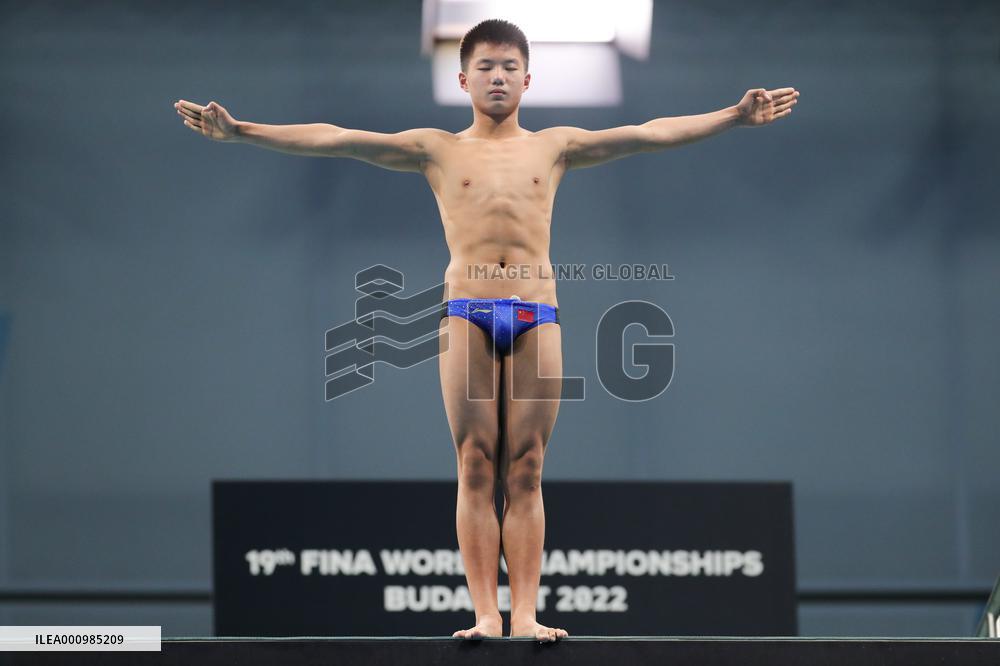 (SP)HUNGARY-BUDAPEST-FINA WORLD CHAMPIONSHIPS-DIVING-MIXED 3M&10M TEAM