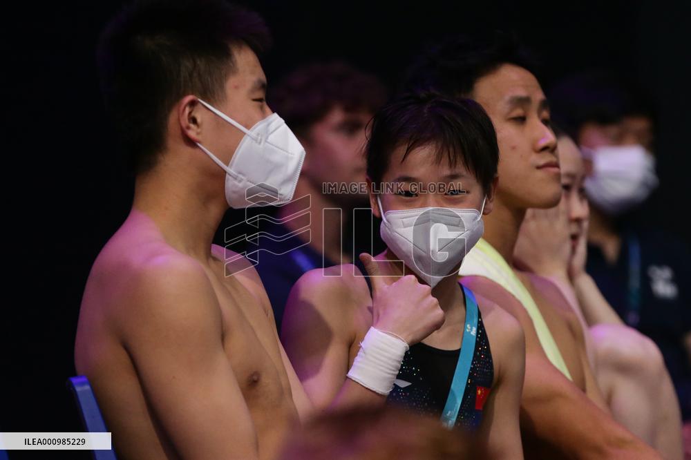 (SP)HUNGARY-BUDAPEST-FINA WORLD CHAMPIONSHIPS-DIVING-MIXED 3M&10M TEAM