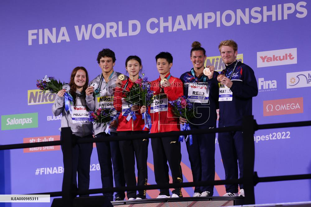 (SP)HUNGARY-BUDAPEST-FINA WORLD CHAMPIONSHIPS-DIVING-MIXED 3M SYNCHRONISED