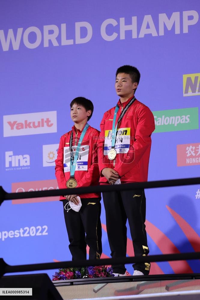(SP)HUNGARY-BUDAPEST-FINA WORLD CHAMPIONSHIPS-DIVING-MIXED 3M&10M TEAM