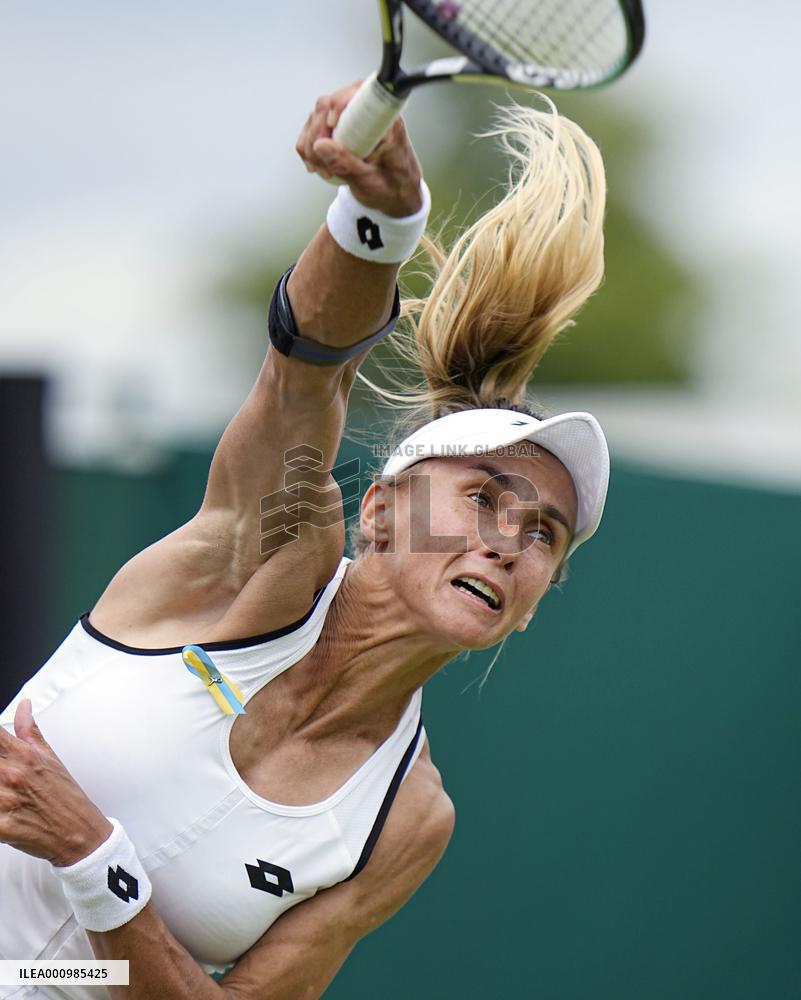 Tennis: Wimbledon championships