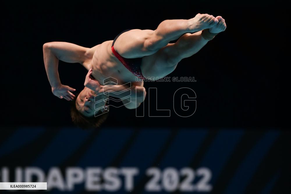 (SP)HUNGARY-BUDAPEST-FINA WORLD CHAMPIONSHIPS-DIVING-MEN'S 1M SPRINGBOARD