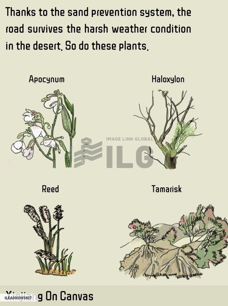 [GRAPHICS]CHINA-XINJIANG-DESERT-NEW HIGHWAY