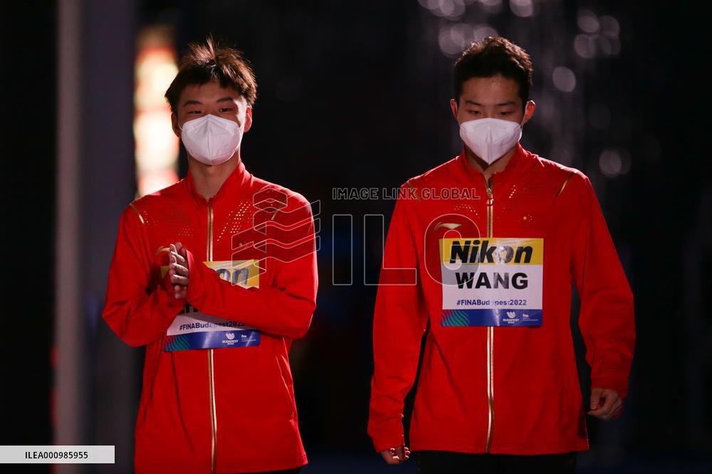 (SP)HUNGARY-BUDAPEST-FINA WORLD CHAMPIONSHIPS-DIVING-MEN'S 1M SPRINGBOARD