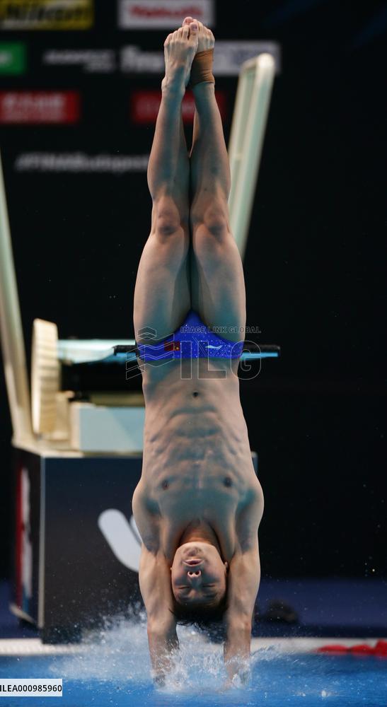 (SP)HUNGARY-BUDAPEST-FINA WORLD CHAMPIONSHIPS-DIVING-MEN'S 1M SPRINGBOARD