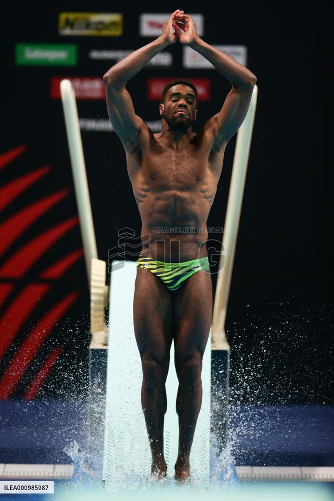 (SP)HUNGARY-BUDAPEST-FINA WORLD CHAMPIONSHIPS-DIVING-MEN'S 1M SPRINGBOARD