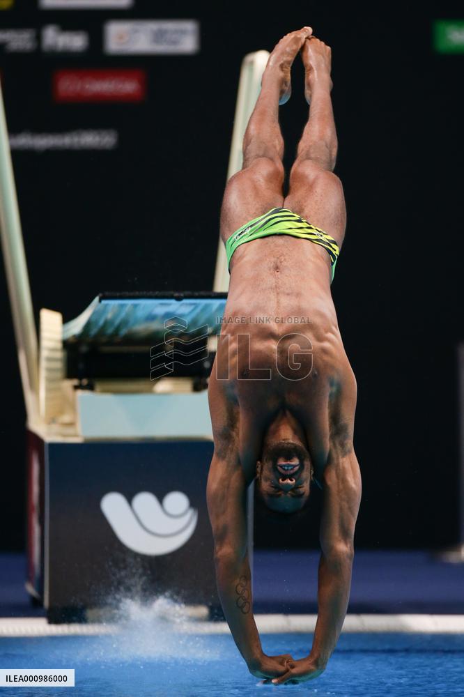 (SP)HUNGARY-BUDAPEST-FINA WORLD CHAMPIONSHIPS-DIVING-MEN'S 1M SPRINGBOARD