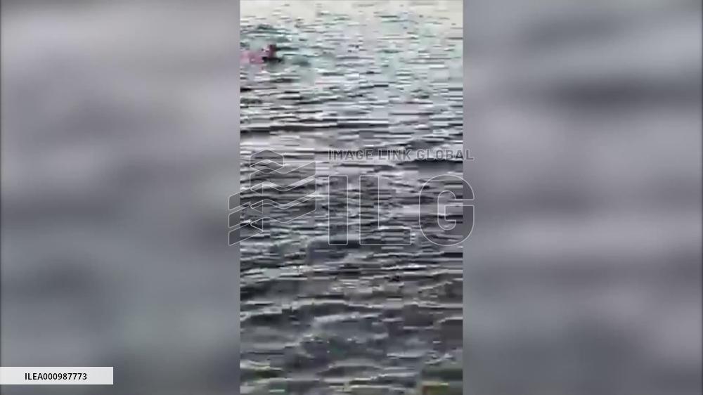 2 women killed in shark attack near Red Sea resort: Egyptian ministry