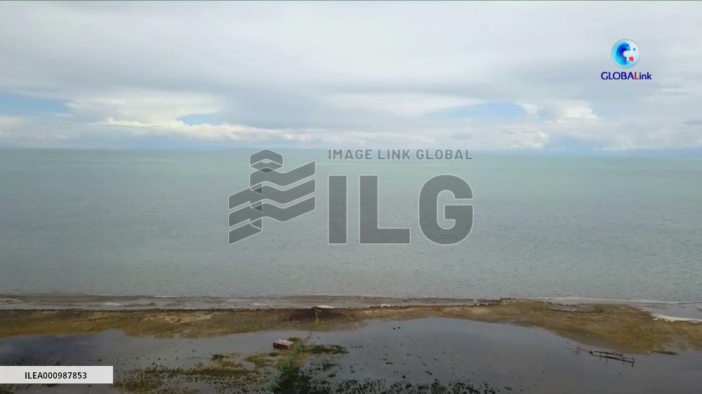 GLOBALink | China's effort to protect endemic fish of Qinghai Lake