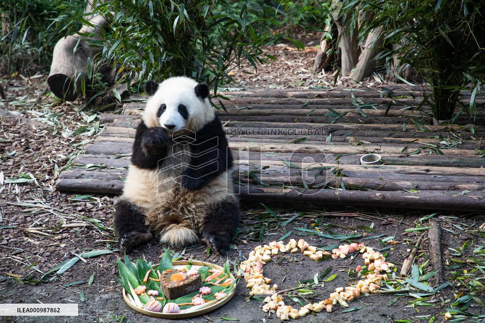 CHINA-SICHUAN-CHENGDU-PANDA TWINS-BIRTHDAY (CN)