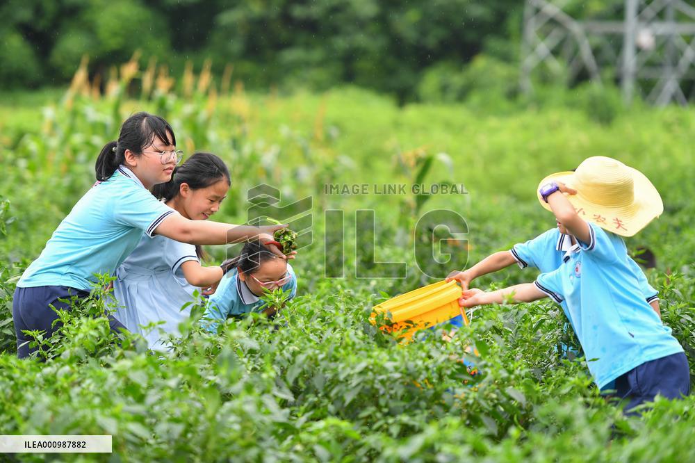 CHINA-HUNAN-CHILDREN-AGRARIAN CULTURE (CN)