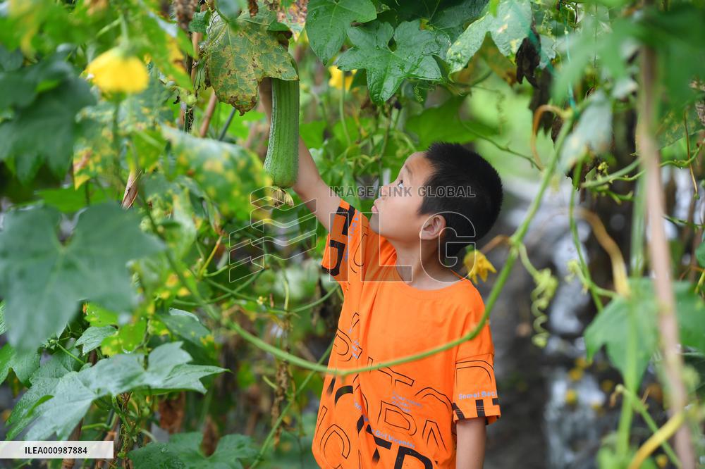 CHINA-HUNAN-CHILDREN-AGRARIAN CULTURE (CN)