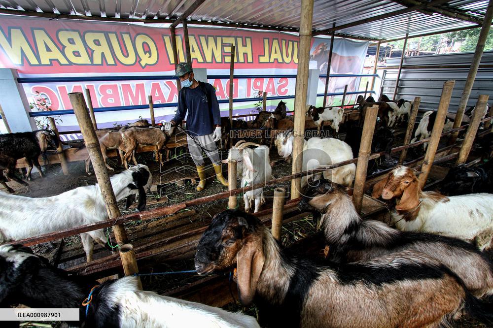 INDONESIA-FOOT AND MOUTH DISEASE-MEASURES