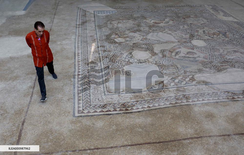 ISRAEL-LOD-ARCHAEOLOGY-MOSAIC