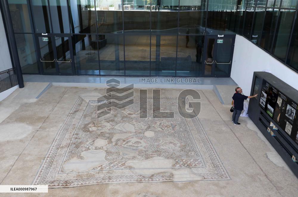 ISRAEL-LOD-ARCHAEOLOGY-MOSAIC