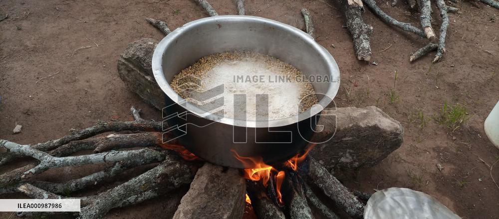 TANZANIA-MOROGORO-CHINA-AGRICULTURAL COOPERATION-SOY MILK