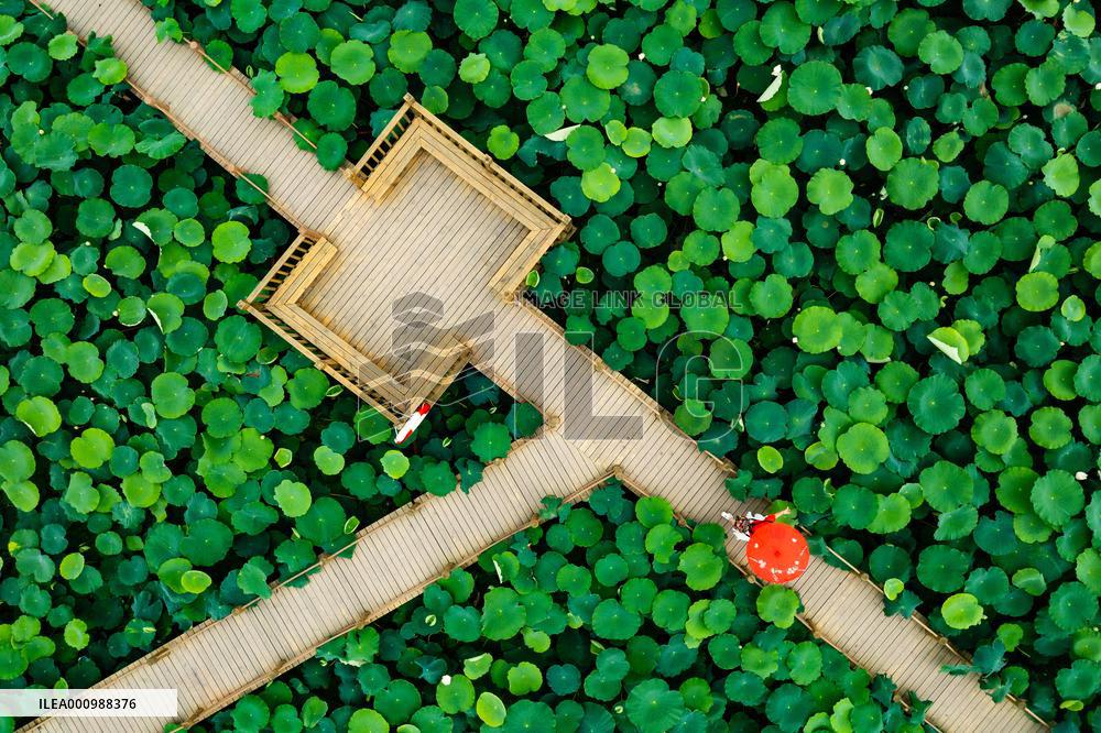 CHINA-SICHUAN-MEISHAN-AERIAL VIEW (CN)