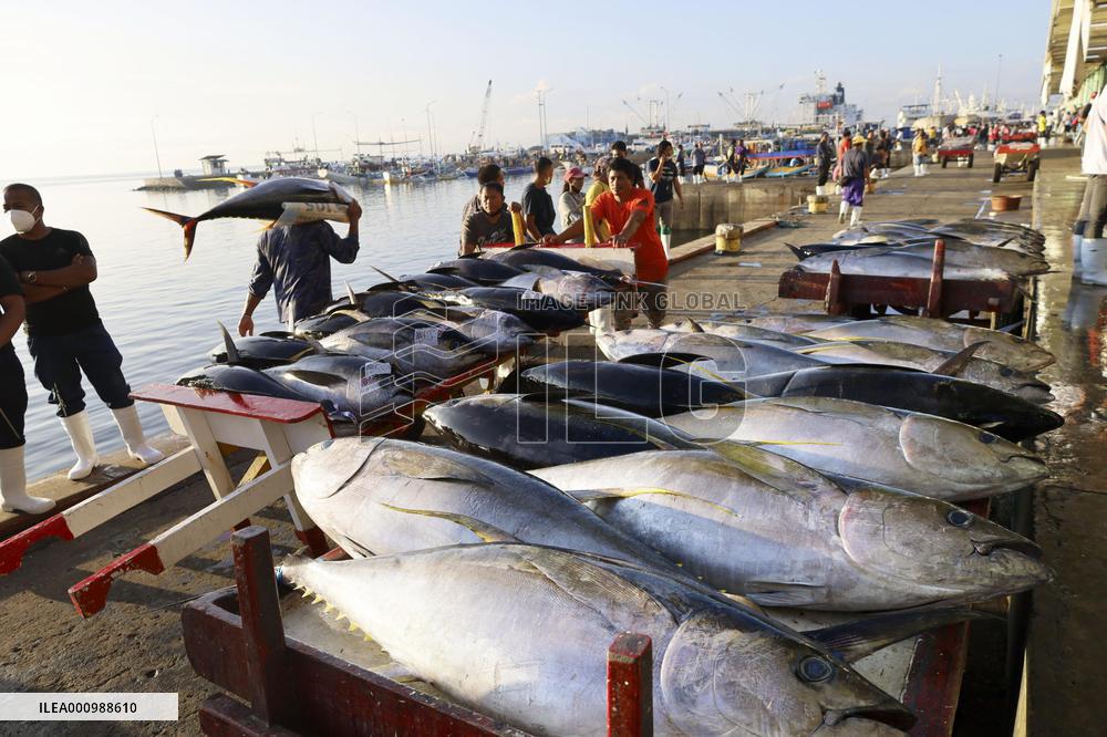 Yellowfin tuna at Philippine market