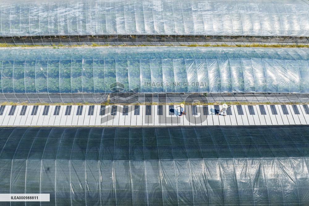 #CHINA-SUMMER-FARMING (CN)