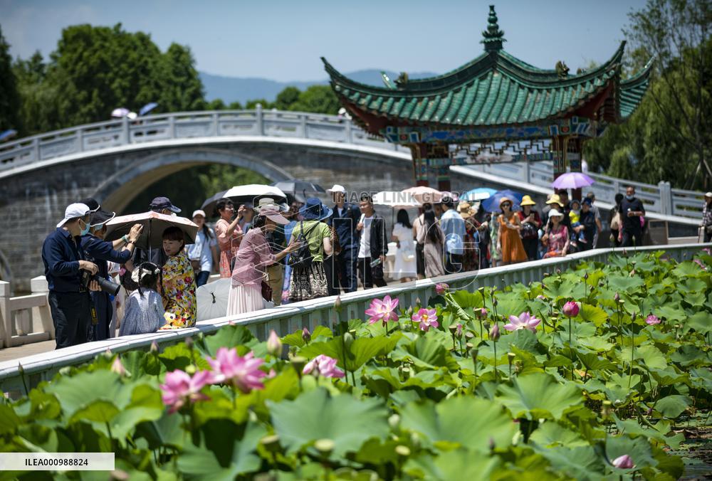 CHINA-YUNNAN-KUNMING-LOTUS-EXHIBITION (CN)