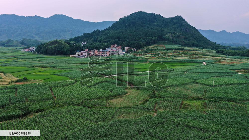CHINA-GUANGXI-VILLAGES-AERIAL SCENERY (CN)
