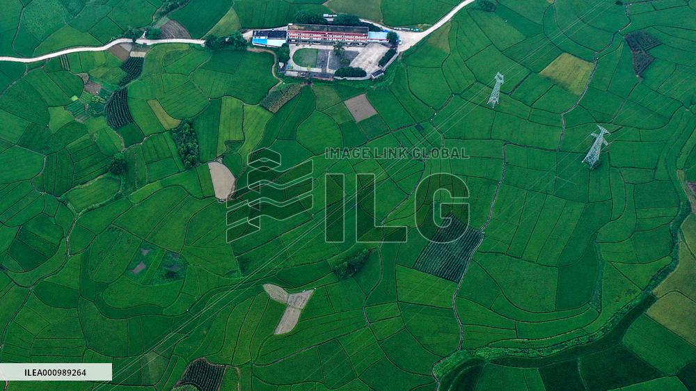 CHINA-GUANGXI-VILLAGES-AERIAL SCENERY (CN)