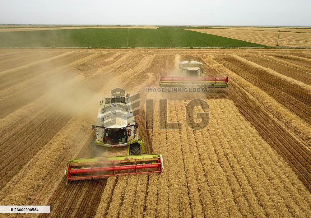 CHINA-XINJIANG-FARMLAND MANAGEMENT-SUMMER HARVEST-TECHNOLOGY APPLICATION (CN)