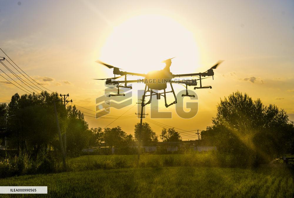 CHINA-XINJIANG-FARMLAND MANAGEMENT-SUMMER HARVEST-TECHNOLOGY APPLICATION (CN)