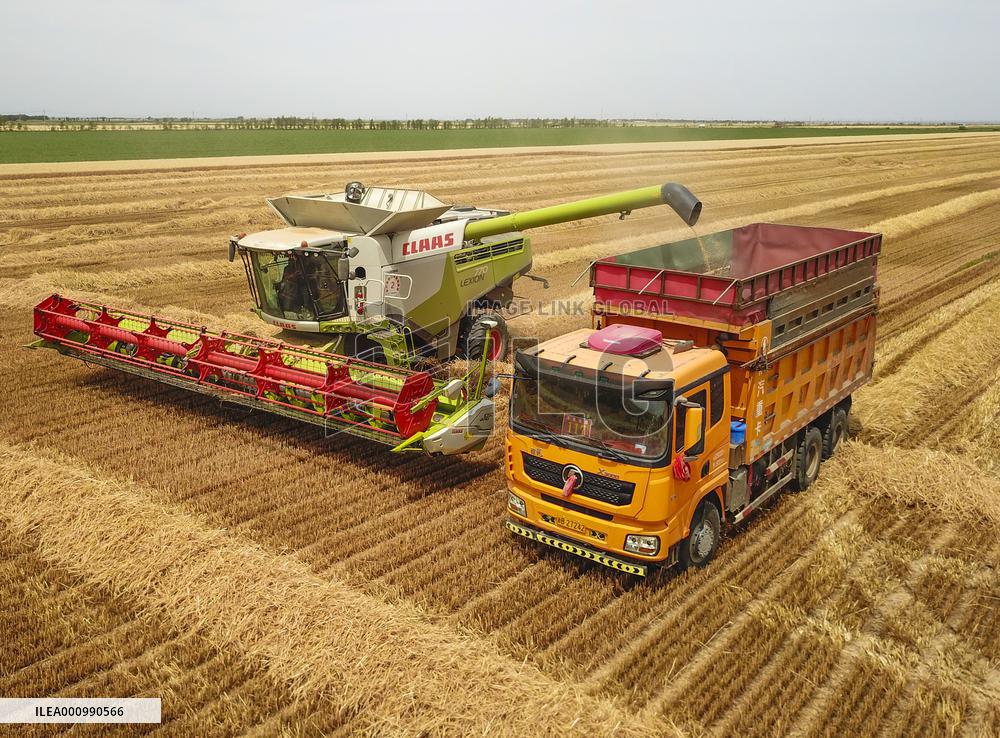 CHINA-XINJIANG-FARMLAND MANAGEMENT-SUMMER HARVEST-TECHNOLOGY APPLICATION (CN)