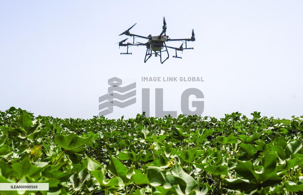 CHINA-XINJIANG-FARMLAND MANAGEMENT-SUMMER HARVEST-TECHNOLOGY APPLICATION (CN)