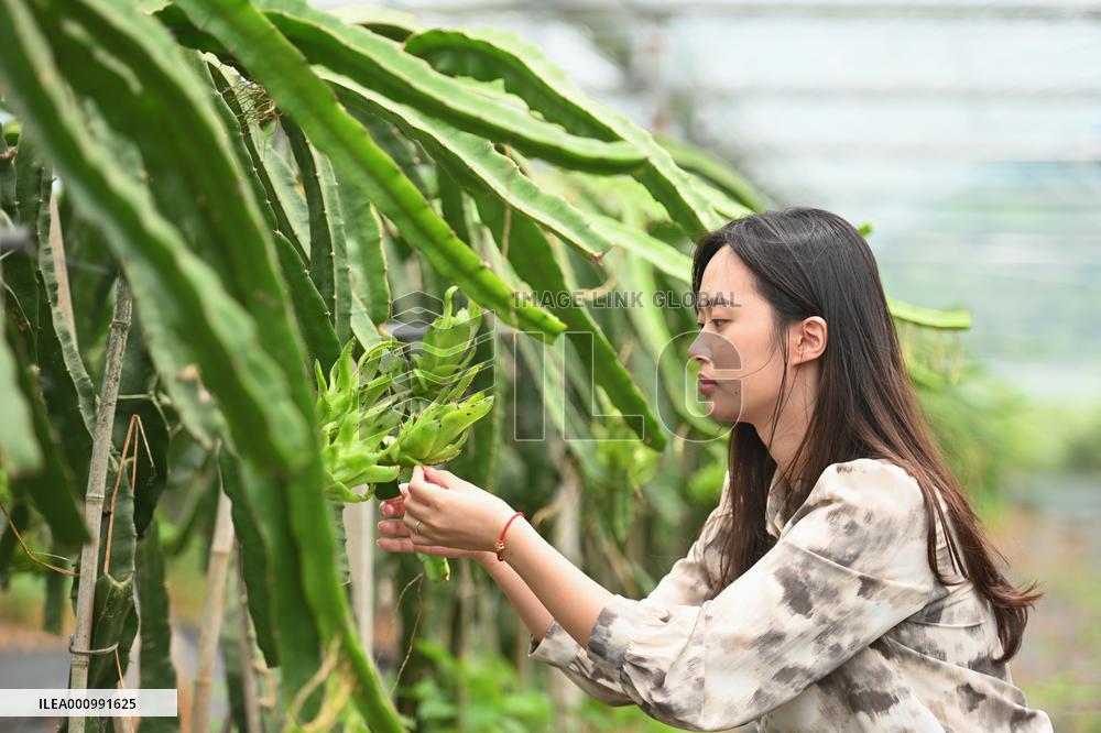 CHINA-FUJIAN-FUQING-TAIWAN COMPATRIOT-AGRICULTURAL COMPANY (CN)