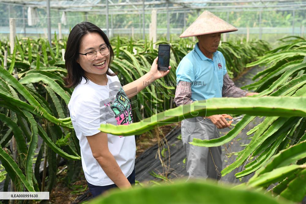 CHINA-FUJIAN-FUQING-TAIWAN COMPATRIOT-AGRICULTURAL COMPANY (CN)