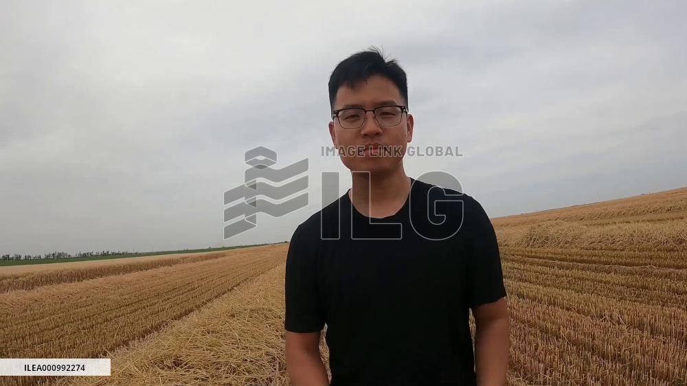 Wheat harvest underway in Xinjiang, China