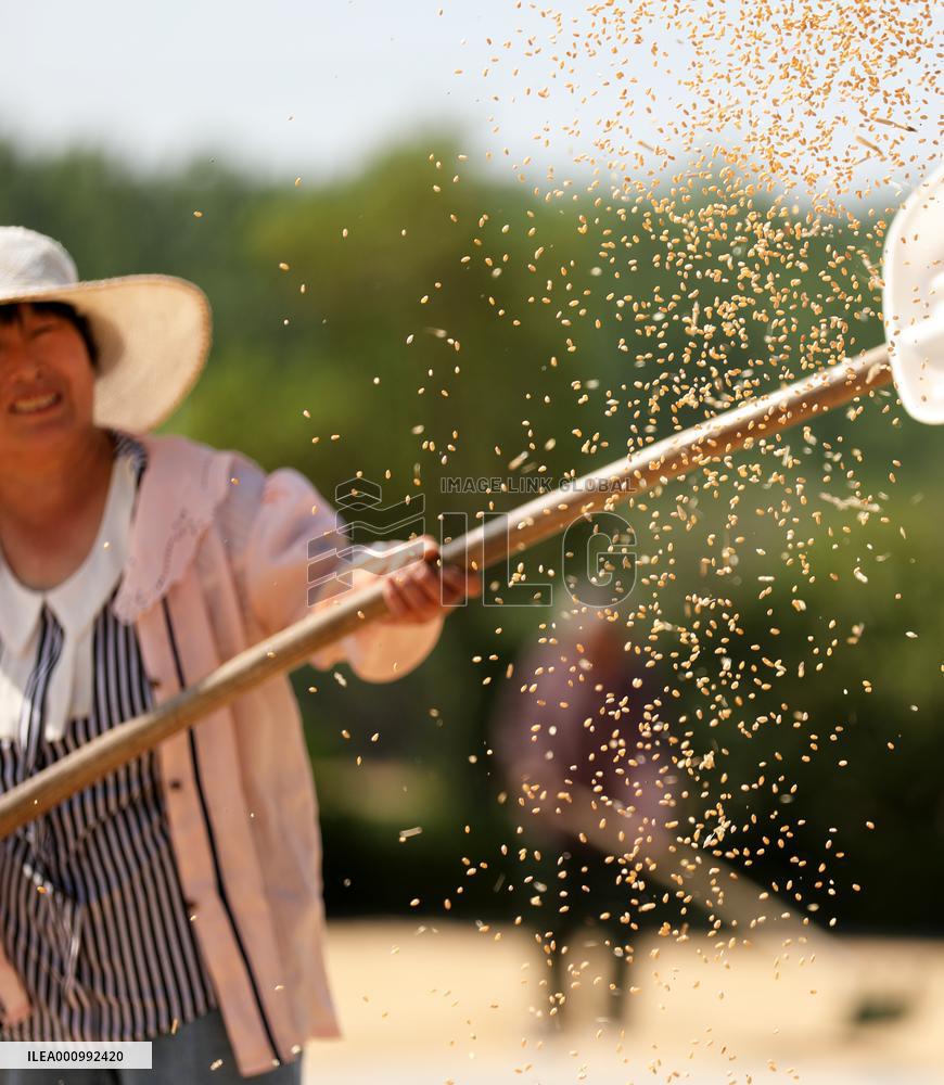#CHINA-SUMMER GRAIN HARVEST-GROWTH (CN)